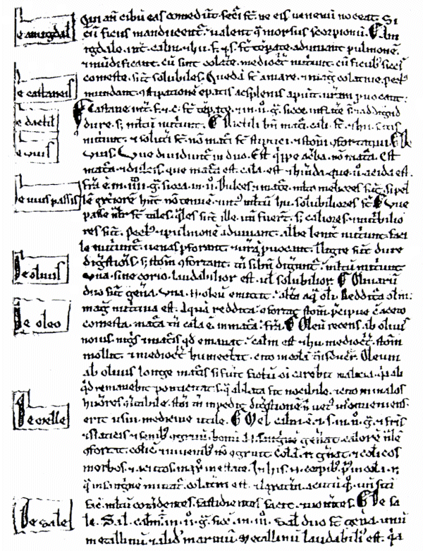 Il foglio 137v del codice madrileno del De flore